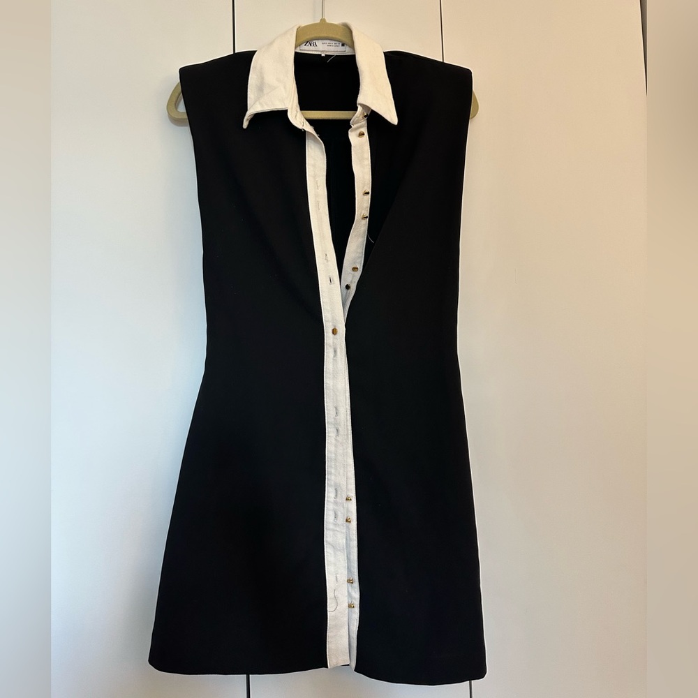 ZARA Chic contrast button up dress